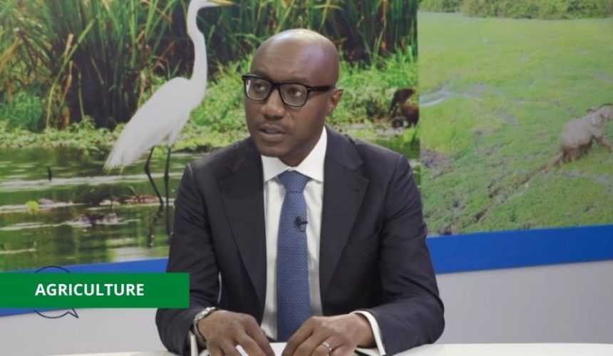 Medias24.com-GABON-GABON : BIENDI MAGANGA MOUSSAVOU VEUT MODERNISER LA PRATIQUE AGRICOLE