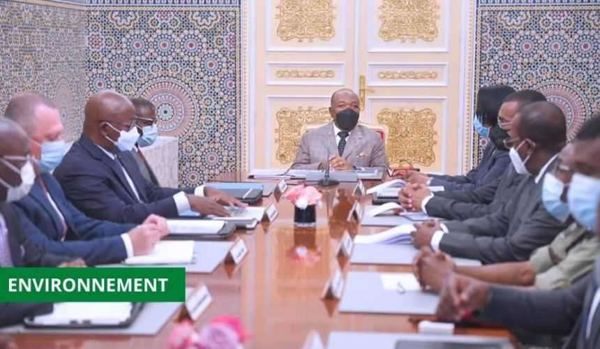 Medias241.com-GABON-ALI BONGO SOMME LE GOUVERNEMENT DE PUNIR LES EXPLOITANT ILLÉGAUX DE RESSOURCES NATURELLES