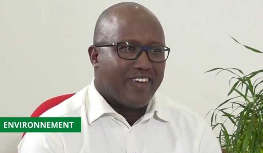 Medias241.com-GABON-FORESTERIE : LE CLIN D'OEIL DE ROBERT MASUMBUKO AU GABON