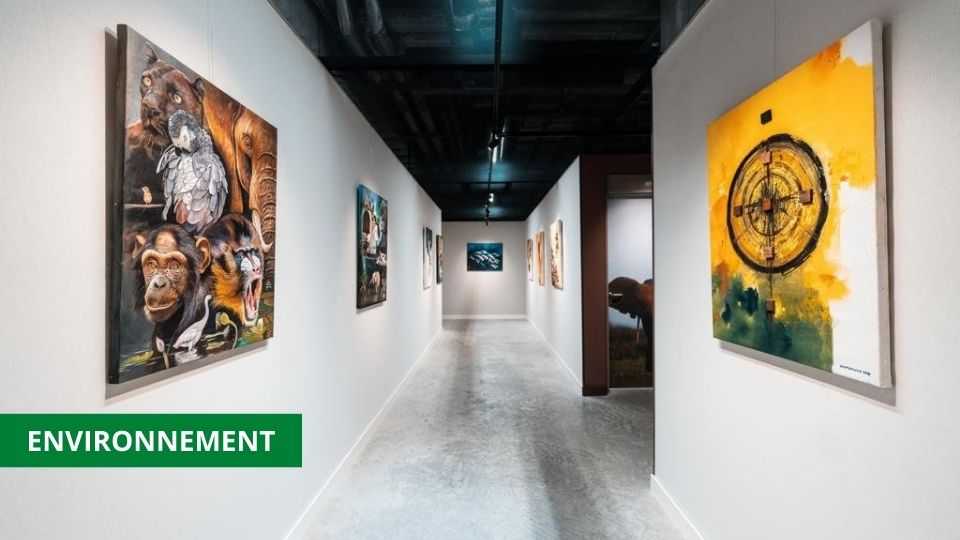Médias241.com-gabon-EXPO DUBAI 2020 : AVEC PLUS DE 20 000 VISITEURS, LE PAVILLON GABONAIS SEDUIT LE MONDE