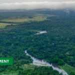 Medias241.com-GABON-1,5 MILLIARDS DE DOLLARS POUR LA PROTECTION DES FORÊTS DU BASSIN DU CONGO