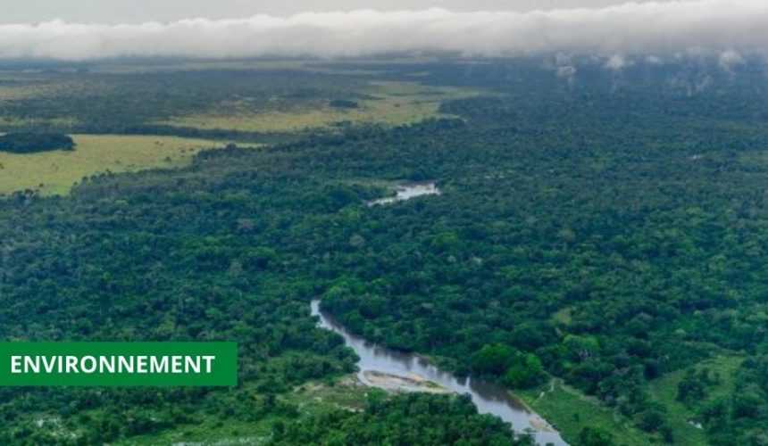 Medias241.com-GABON-1,5 MILLIARDS DE DOLLARS POUR LA PROTECTION DES FORÊTS DU BASSIN DU CONGO