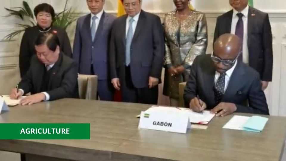 Médias241.com-gabon-AGRICULTURE : LE GABON S’ALLIE AU VIETNAM POUR BOOSTER LA PRODUCTION DU CAFÉ