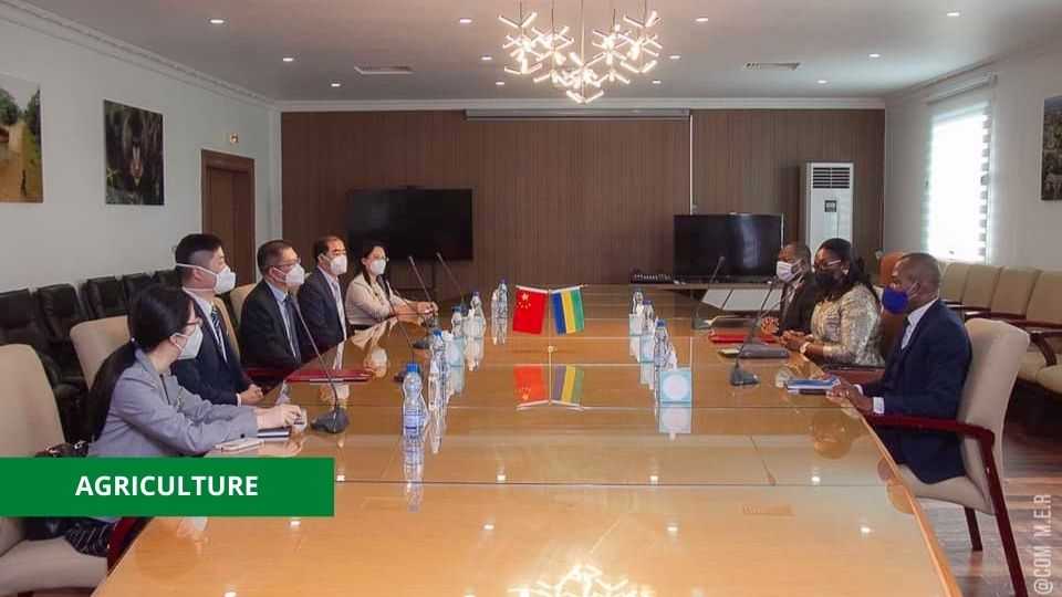 Medias241.com-Gabon- VERS LA CONSTRUCTION D'UNE BASE DE VULGARISATION DES TECHNIQUES AGRICOLES