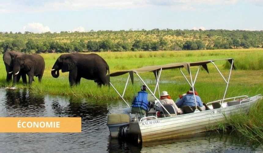 Medias241.com-GABON-TOURISME : LE GABON PARMI LES 22 MEILLEURES DESTINATIONS À VISITER EN 2022 SELON LE CONDE NAST