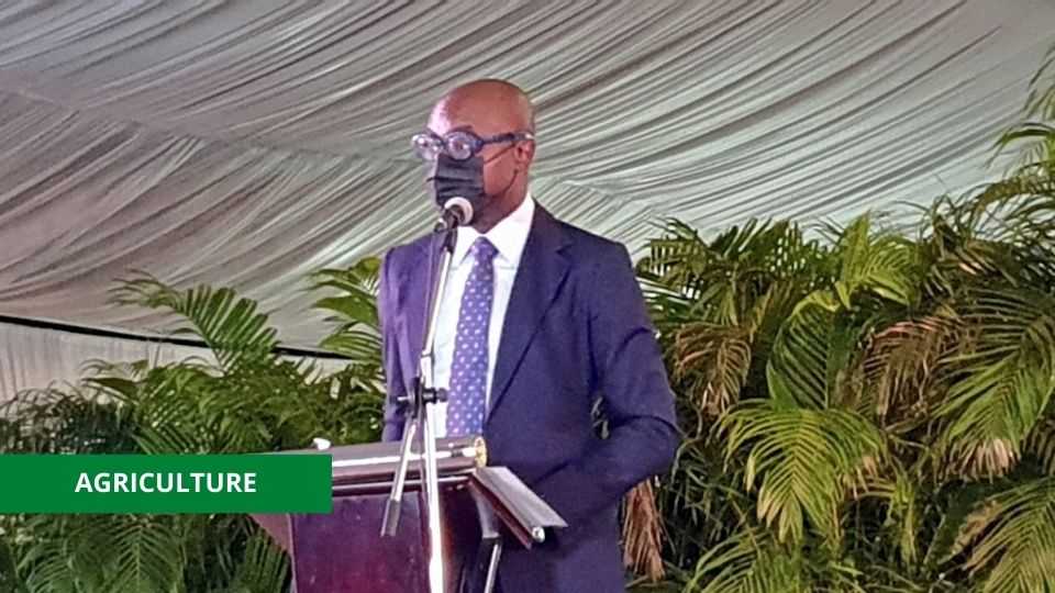 Medias241.com-GABON-LE SECTEUR AGRICOLE COMPTE 105.953 EXPLOITANTS