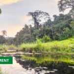 Medias241.com-GABON-LE GABON COMPTE PLUS DE 3000 ZONES HUMIDES