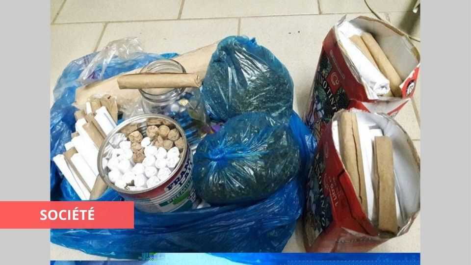 Medias241.com-GABON-FRANCEVILLE : UN RÉSEAU DE TRAFIQUANTS DE CHANVRE MIS HORS CIRCUIT