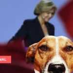 Medias241.com-GABON-FRANCE : UN CHIEN ET DES PERSONNES DÉCÉDÉES ONT PU VOTER LORS DE LA PRIMAIRE LR