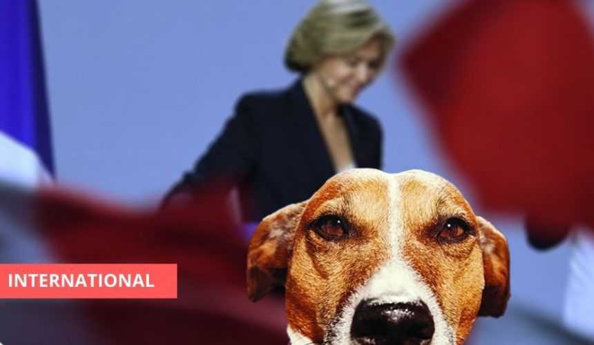 Medias241.com-GABON-FRANCE : UN CHIEN ET DES PERSONNES DÉCÉDÉES ONT PU VOTER LORS DE LA PRIMAIRE LR