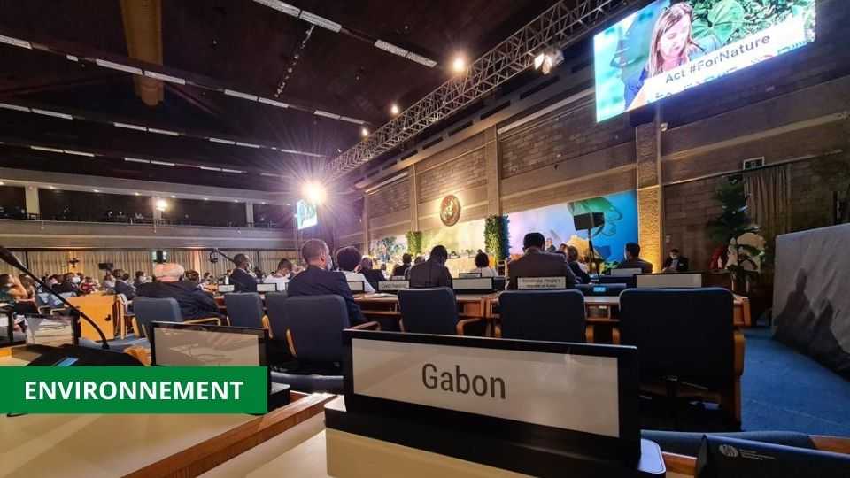 Medias241.com-GABON-UNEA-5 : LE GABON INVITE LES PAYS DU G20 À PLUS D’EFFORTS POUR L’ATTEINTE DES ODD