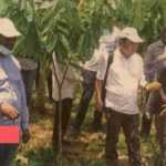 Medias241.com-GABON-RELANCE DU CAFÉ : THIERRY PROSPÈRE MBOUTSOU À MOUILA POUR FAIRE LE POINT AUX EXPERTS VIETNAMIENS