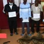 Medias241.com-GABON- À OYEM 4 HOMMES ARRÊTÉS POUR TRAFIC D’ANIMAUX PROTÉGÉS