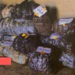 Medias241.com-GABON-BITAM : 116,6 KG DE CHANVRE INDIEN EN PROVENANCE DU CAMEROUN SAISI PAR LA DOUANE