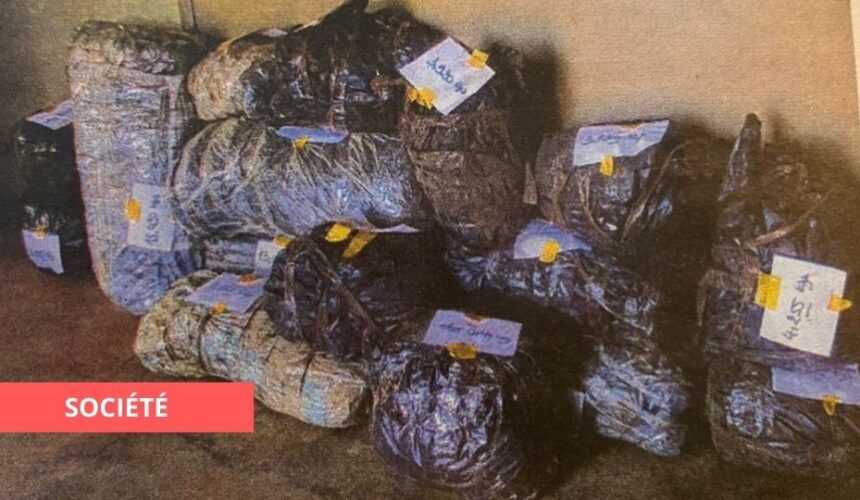 Medias241.com-GABON-BITAM : 116,6 KG DE CHANVRE INDIEN EN PROVENANCE DU CAMEROUN SAISI PAR LA DOUANE
