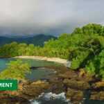 Medias241.com-GABON-ENVIRONNEMENT : LE GABON HÔTE DE LA SEMAINE AFRICAINE DU CLIMAT