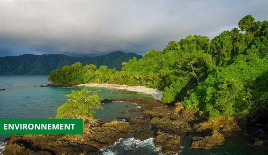 Medias241.com-GABON-ENVIRONNEMENT : LE GABON HÔTE DE LA SEMAINE AFRICAINE DU CLIMAT