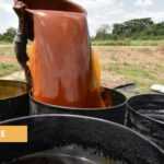 Medias241.com-GABON-GABON: VERS LA VENTE DE CARBURANT À BASE D'HUILE DE PALME DÈS 2023