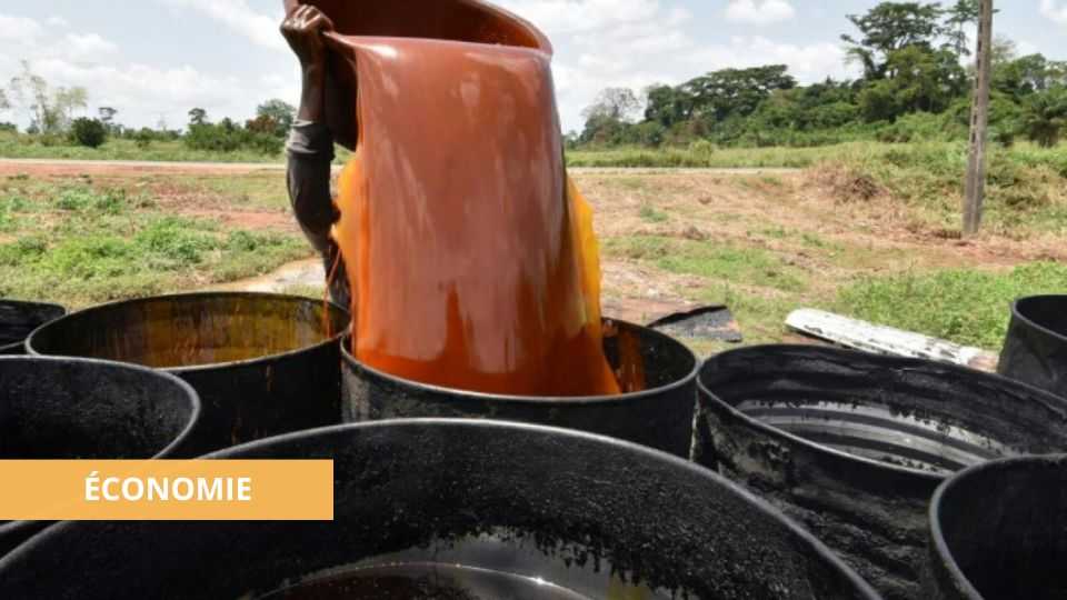 Medias241.com-GABON-GABON: VERS LA VENTE DE CARBURANT À BASE D'HUILE DE PALME DÈS 2023
