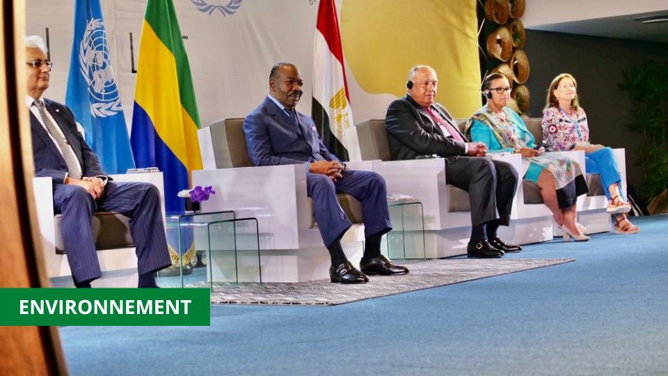 Medias241.com-GABON-ACW 2022: LE GABON RÉAFFIRME SA VOLONTÉ D’ABSORBER 100 MILLIONS DE TONNES DE CO2 PAR AN