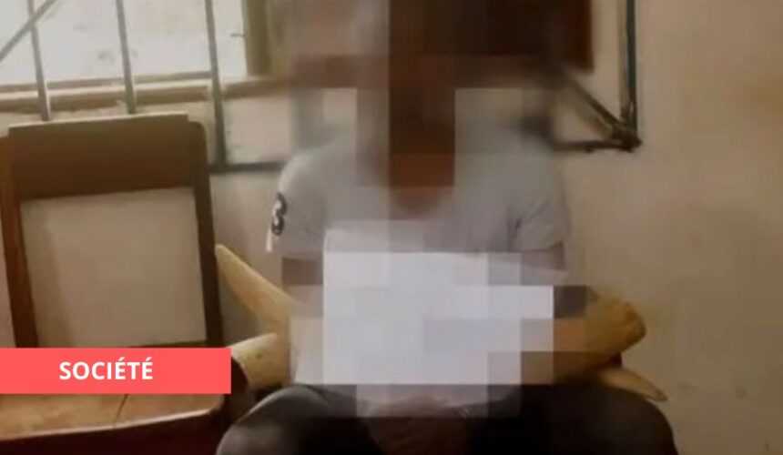Medias241.com-Gabon-FAIT DIVERS: À FOUGAMOU UN PÊCHEUR ARRÊTER AVEC 12 POINTES D’IVOIRE