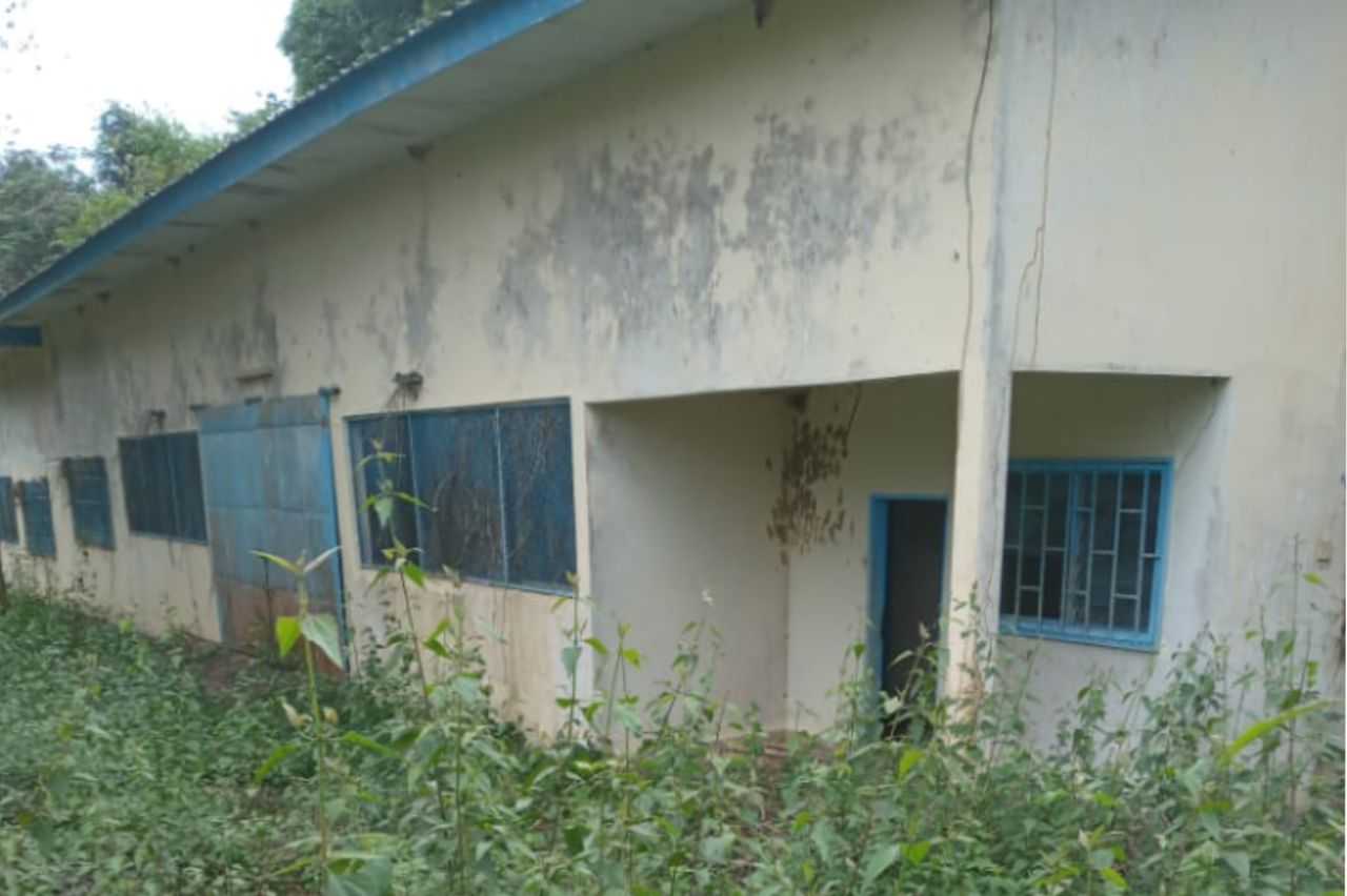 Medias241.com-GABON-MOABI : ABANDONNÉ DEPUIS 17 ANS, LE LYCÉE PROFESSIONNEL D’ILEKA APPARTIENT DÉSORMAIS AUX SERPENTS