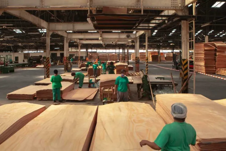 Medias241.com-GABON-Nkok : le producteur de bois,Gabon Timber obtient la certification FSC