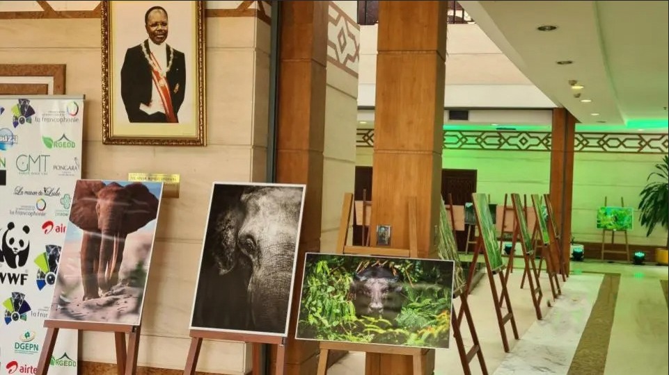 Medias241.com-GABON-Medias241.com-GABON-Le Gabon exposé en photos au siège des Nations Unies