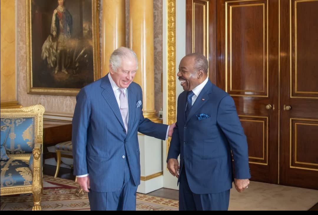 Medias241.com-GABON-Commonwealth : Londres et Libreville conjuguent leurs efforts pour la préservation de l’environnement