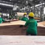 Medias241.com-GABON-CEMAC: le Gabon leader de la transformation de bois dans la sous région.