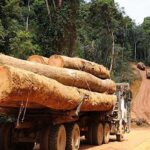 Medias-Gabon-Routes : Bilie-By-Nze veut faire « payer » les forestiers