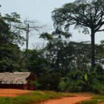 Medias241.com-GABON-Moabi : Après 3 jours de chasse ratée, un septuagénaire décède.