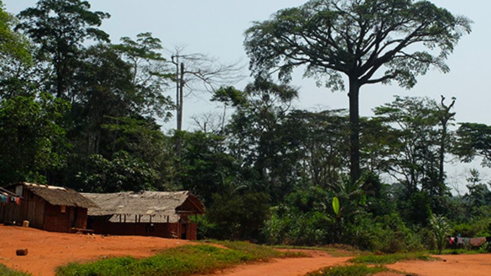 Medias241.com-GABON-Moabi : Après 3 jours de chasse ratée, un septuagénaire décède.