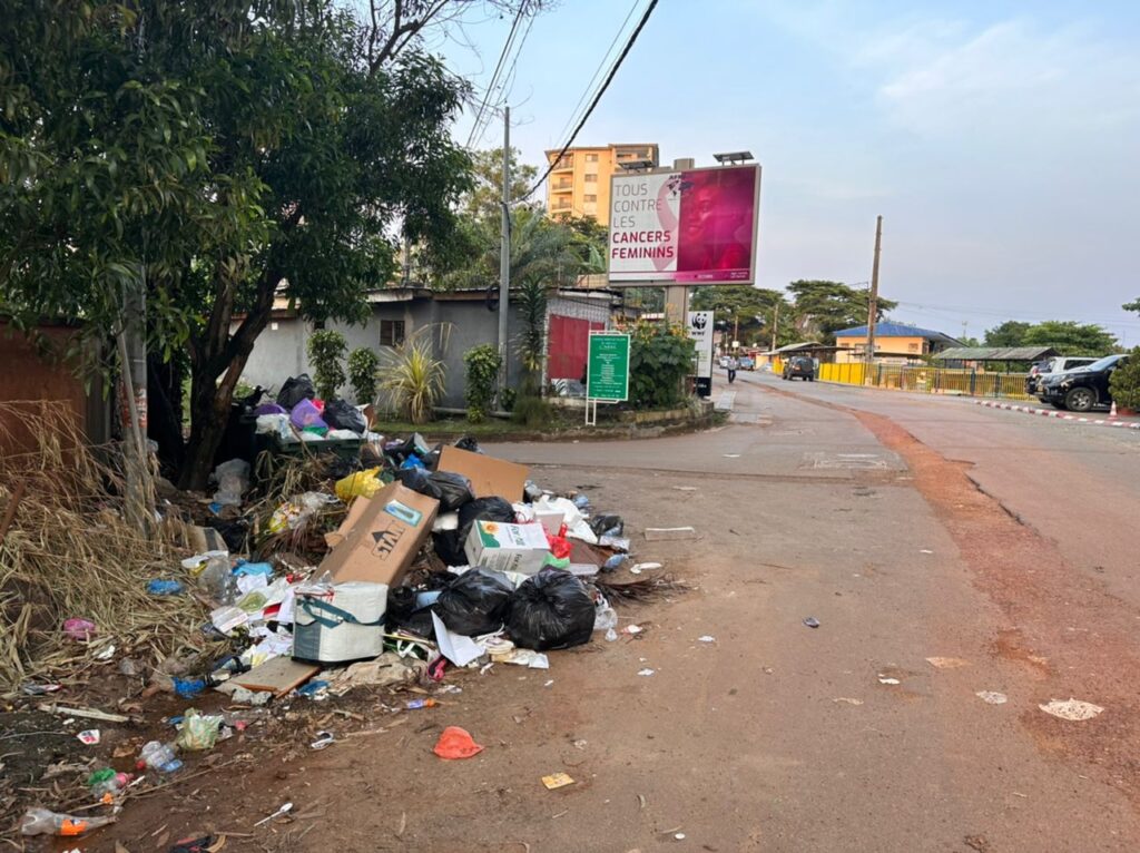 Medias241.com-GABON-Société : Libreville, est-elle prête à accueillir le One Forest summit ?