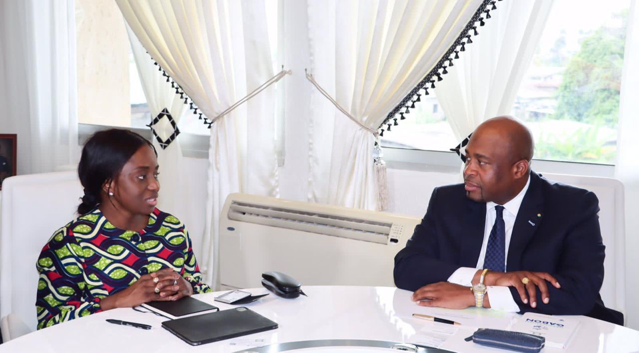 Medias241.com-GABON-Économie : le projet de diversification de la BAD pour le Gabon via l’économie verte et bleue