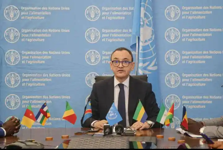 Medias241.com-GABON-Lutte contre la faim : la FAO en réunion à Libreville