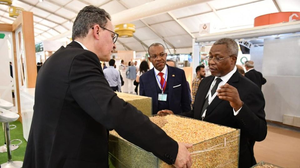 Medias241.com-GABON-Agriculture : Charles Mve vend les progrès du Gabon au Maroc