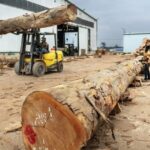 Medias241.com-Gabon-L'industrie du bois : Une contribution majeure à l'économie gabonaise de 2018 à 2022