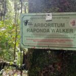 Medias241.com-Gabon-Gabon : l’ANPN prévient contre l'exploitation illégale de l'Arboretum Raponda Walker