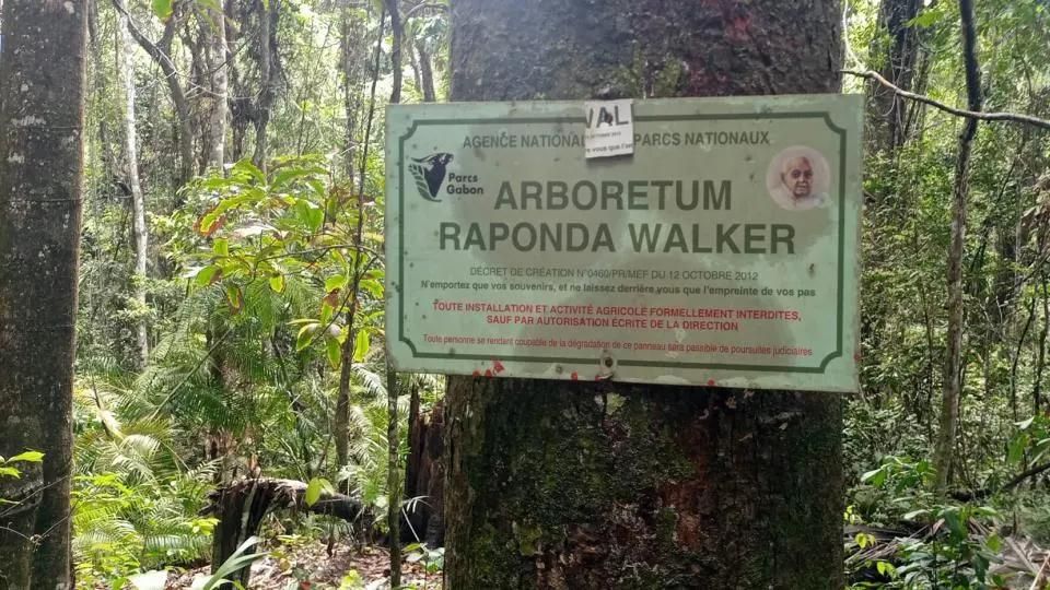 Medias241.com-Gabon-Gabon : l’ANPN prévient contre l'exploitation illégale de l'Arboretum Raponda Walker