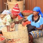 Medias241-Gabon-Programme de microcrédit : Une opportunité unique pour les entrepreneurs Gabonais