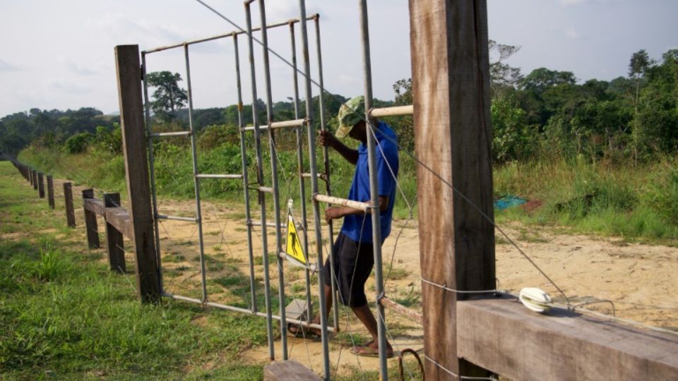 Medias241.com-Gabon-CHE : Quid des clôtures électriques ?