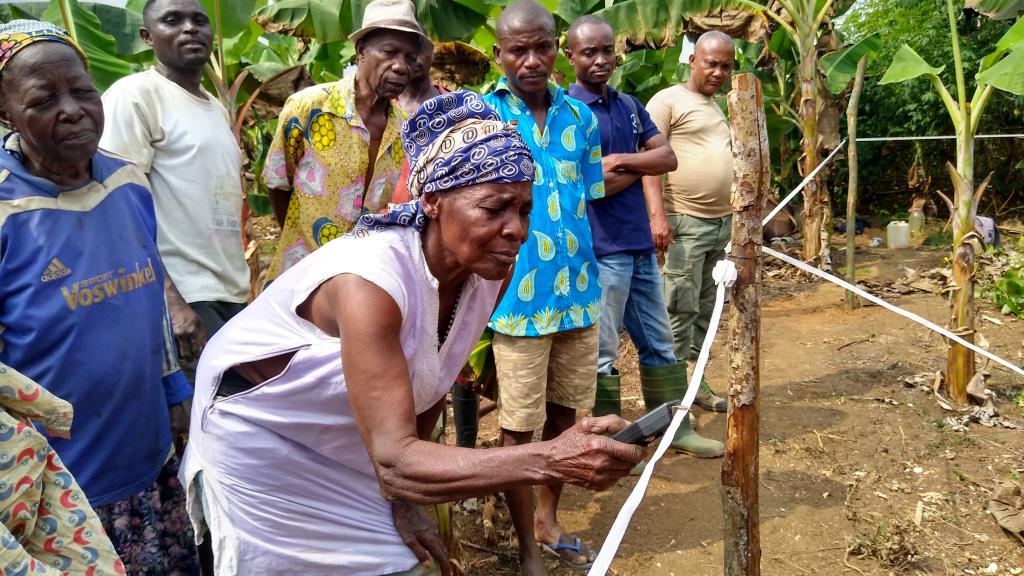 Medias241-Gabon-Conflit Homme-Éléphant: Le gouvernement intensifie l'installation de clôtures électriques